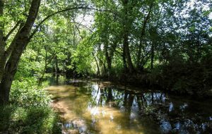 Rando organisée par Danielle et MC2   Abbéville La Rivière 16 kms