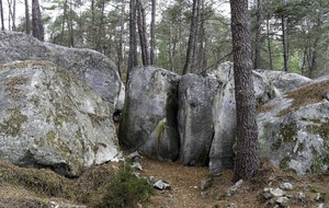 Organisée par Liliane.Fontainebleau 18 Kms en 2 boucles