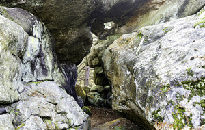 Organisée par Janine. Fontainebleau. Belle croix. 12 Km 