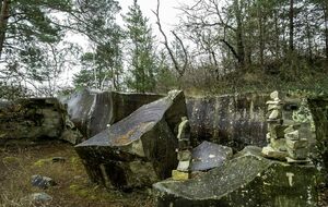 Organisée par Michel Lesage : Forêt de Fontainebleau 17km