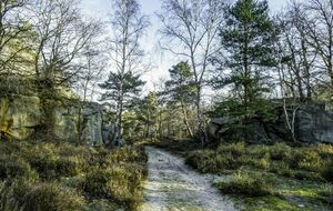 Organisée par Danielle et Joël : PRINGY 18km