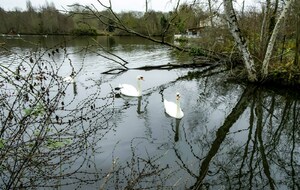 Organisée par Marie Thérèse, Jean Paul et Louisa : : Cheptainville 15,6km