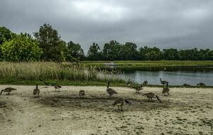 Organisée par Joel et Evelyne : La Chapelle Gauthier , 21 km
