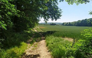 Petite randonnée. Organisée par Ghislaine &amp; André. Boissy sous St Yon 8 km